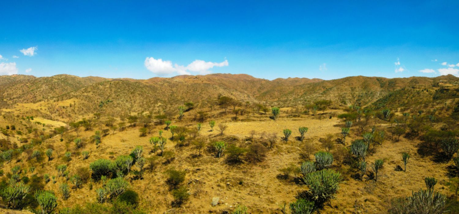 Filfil Solomona National Park, Eritrea