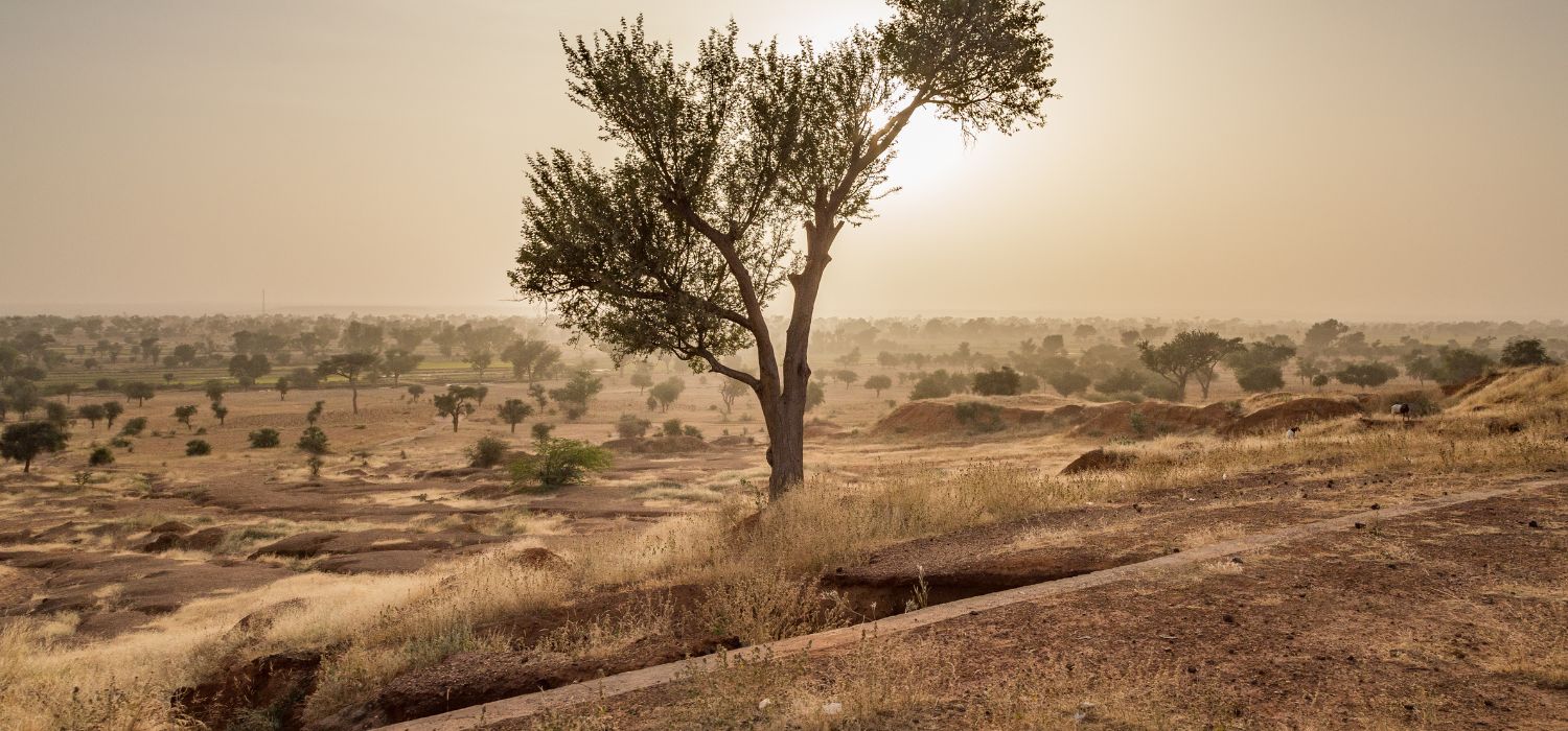 Sahel, Niger